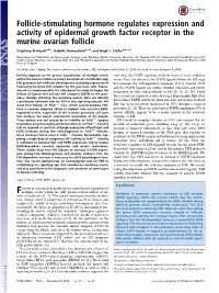 Follicle-Stimulating Hormone Regulates Expression and Activity of Epidermal Growth Factor Receptor in the Murine Ovarian Follicle
