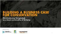 Sengkubak Report