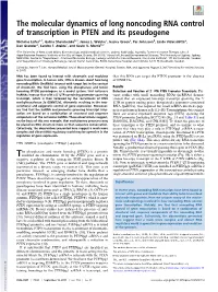 The Molecular Dynamics of Long Noncoding RNA Control of Transcription in PTEN and Its Pseudogene
