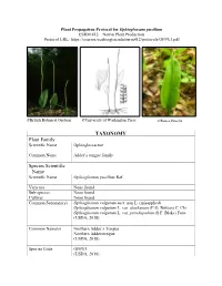Draft Plant Propagation Protocol