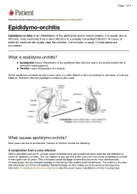 Epididymo-Orchitis-Leaflet Epididymo-Orchitis