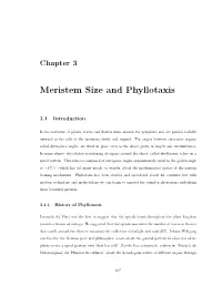 Meristem Size and Phyllotaxis