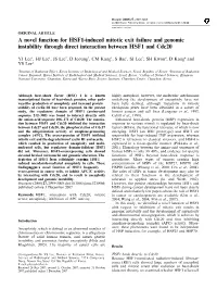A Novel Function for HSF1-Induced Mitotic Exit Failure and Genomic Instability Through Direct Interaction Between HSF1 and Cdc20