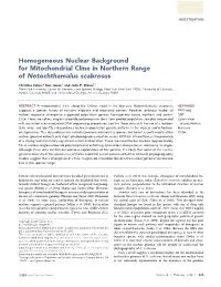 Homogeneous Nuclear Background for Mitochondrial Cline in Northern Range of Notochthamalus Scabrosus