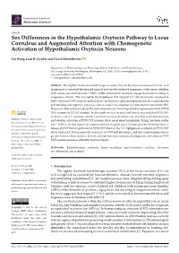 Sex Differences in the Hypothalamic Oxytocin Pathway to Locus Coeruleus and Augmented Attention with Chemogenetic Activation of Hypothalamic Oxytocin Neurons