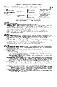 YEARLING, Consigned by Grove Stud, Ireland