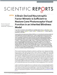 A Brain-Derived Neurotrophic Factor