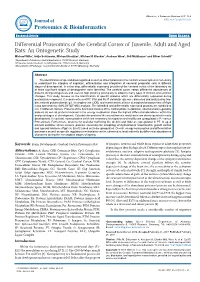Differential Proteomics of the Cerebral Cortex of Juvenile, Adult and Aged Rats