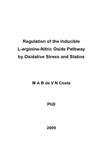 Effects of Oxidative Stress on the Expression and Function of L