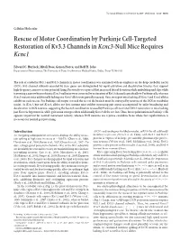 Rescue of Motor Coordination by Purkinje Cell-Targeted Restoration of Kv3.3 Channels in Kcnc3-Null Mice Requires Kcnc1