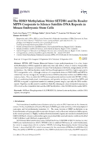 The H3K9 Methylation Writer SETDB1 and Its Reader MPP8 Cooperate to Silence Satellite DNA Repeats in Mouse Embryonic Stem Cells