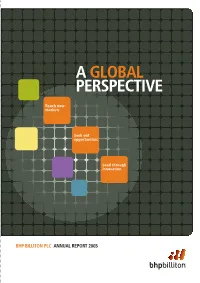 2005 BHP Billiton Plc Group Annual Report