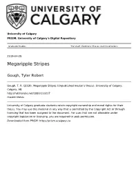 Megaripple Stripes
