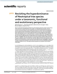 Revisiting the Hyperdominance of Neotropical Tree Species Under A