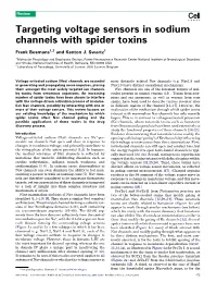 Targeting Voltage Sensors in Sodium Channels with Spider Toxins