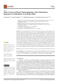 Time Course of Renal Transcriptomics After Subchronic Exposure to Ochratoxin a in Fisher Rats