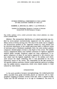Abstract. the Intracortical Distribution of Evoked Potentials Was Stu- Died