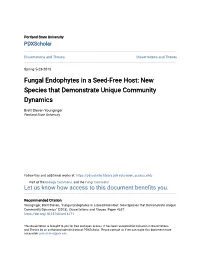 Fungal Endophytes in a Seed-Free Host: New Species That Demonstrate Unique Community Dynamics