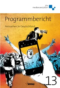 Programmbericht 2013
