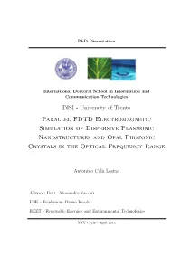 University of Trento Parallel FDTD Electromagnetic Simulation of Dispersive Plasmonic Nanostructures and Opal Photonic Crystals in the Optical Frequency Range
