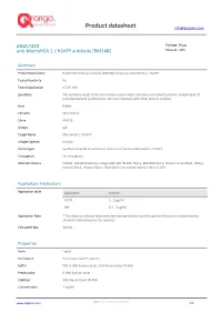Anti-Macroh2a.1 / H2AFY Antibody [RM248] (ARG57240)