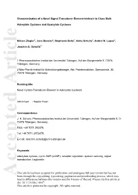 Characterization of a Novel Signal Transducer Element Intrinsic To