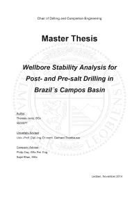 Master Thesis