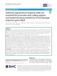 Selection Signatures in Tropical Cattle Are Enriched for Promoter And