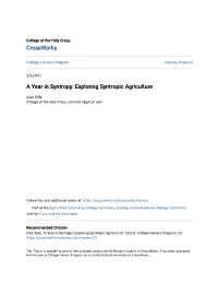 A Year in Syntropy: Exploring Syntropic Agriculture