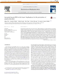 Curcumin Boosts DHA in the Brain: Implications for the Prevention of Anxiety Disorders