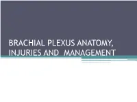 BRACHIAL PLEXUS ANATOMY, INJURIES and MANAGEMENT • Brachial Plexus Is Network of Nerves That Supply Sensation and Motor Function to Upper Extremity