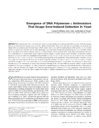 Emergence of DNA Polymerase E Antimutators That Escape Error-Induced Extinction in Yeast