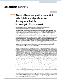 Native Burmese Pythons Exhibit Site Fidelity and Preference for Aquatic