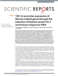 TGF-Β1 Promotes Expression of Fibrosis-Related Genes Through The
