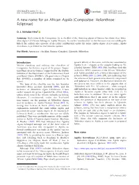 A New Name for an African Aspilia (Compositae: Heliantheae: Ecliptinae)