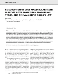 Reevolution of Lost Mandibular Teeth in Frogs