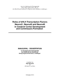 Roles of Bhlh Transcription Factors Neurod1, Neurod2 and Neurod6 in Cerebral Cortex Development and Commissure Formation