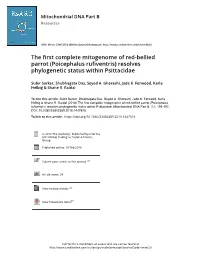 The First Complete Mitogenome of Red-Bellied Parrot (Poicephalus Rufiventris) Resolves Phylogenetic Status Within Psittacidae