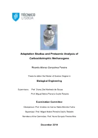 Adaptation Studies and Proteomic Analysis of Carboxidotrophic Methanogens