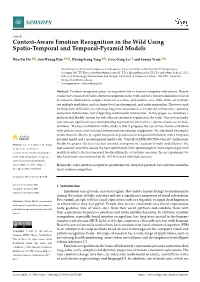 Context-Aware Emotion Recognition in the Wild Using Spatio-Temporal and Temporal-Pyramid Models
