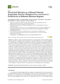 Desert Soil Microbes As a Mineral Nutrient Acquisition Tool for Chickpea (Cicer Arietinum L.) Productivity at Different Moisture