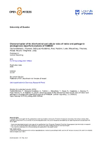 Characterisation of the Biochemical and Cellular Roles of Native And