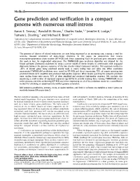 Gene Prediction and Verification in a Compact Genome with Numerous Small Introns