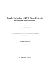 Complex Mechanisms of KCNQ Channel Activation by State-Dependent Modulators