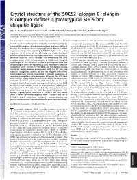 Crystal Structure of the SOCS2–Elongin C–Elongin B Complex Defines a Prototypical SOCS Box Ubiquitin Ligase