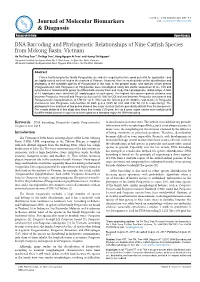 DNA Barcoding and Phylogenetic Relationships of Nine Catfish