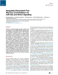 Amygdala-Dependent Fear Memory Consolidation Via Mir-34A and Notch Signaling