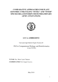 Comparative Approaches for Plant Genomes: Unraveling “Intra” and “Inter” Species Relationships from Preliminary Gene Annotations