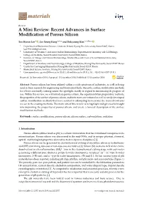 A Mini Review: Recent Advances in Surface Modification of Porous Silicon
