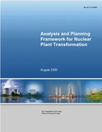 Analysis and Planning Framework for Nuclear Plant Transformation